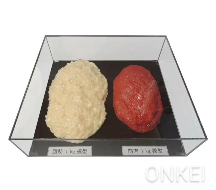 画像1274