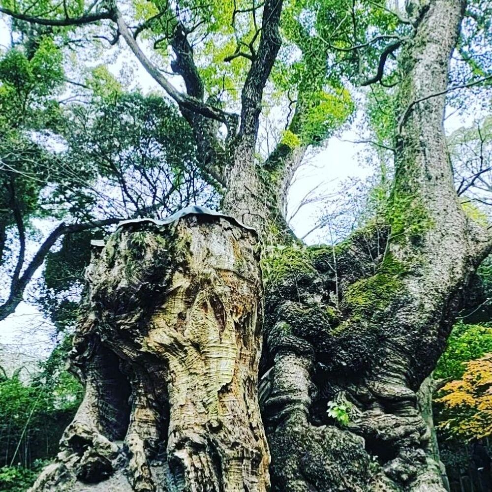 画像1411