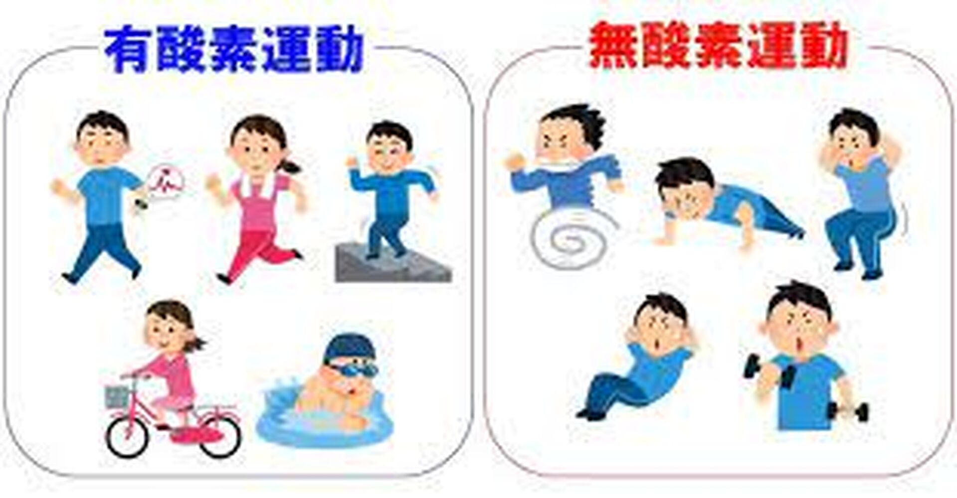 画像1446