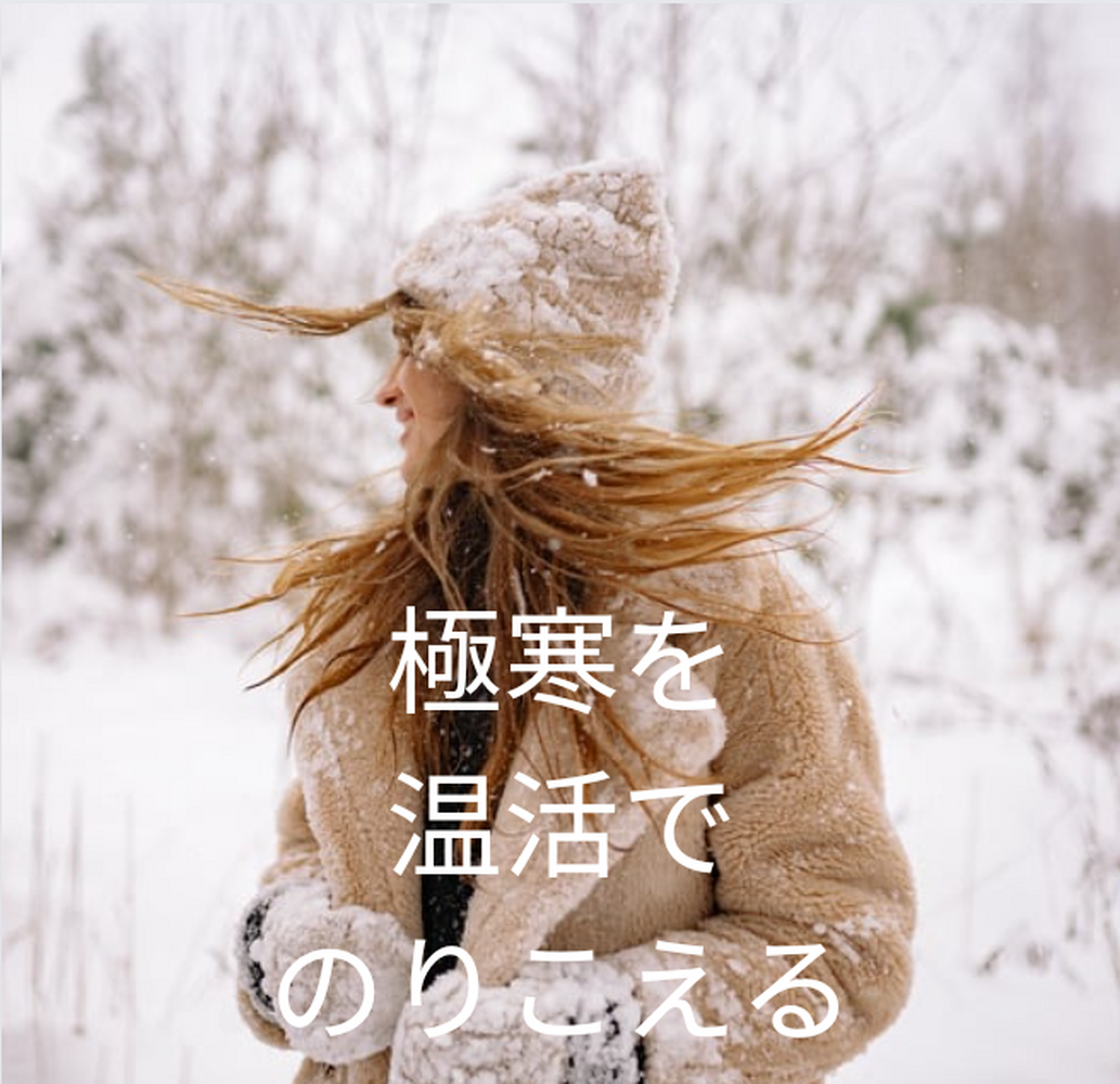 画像1479