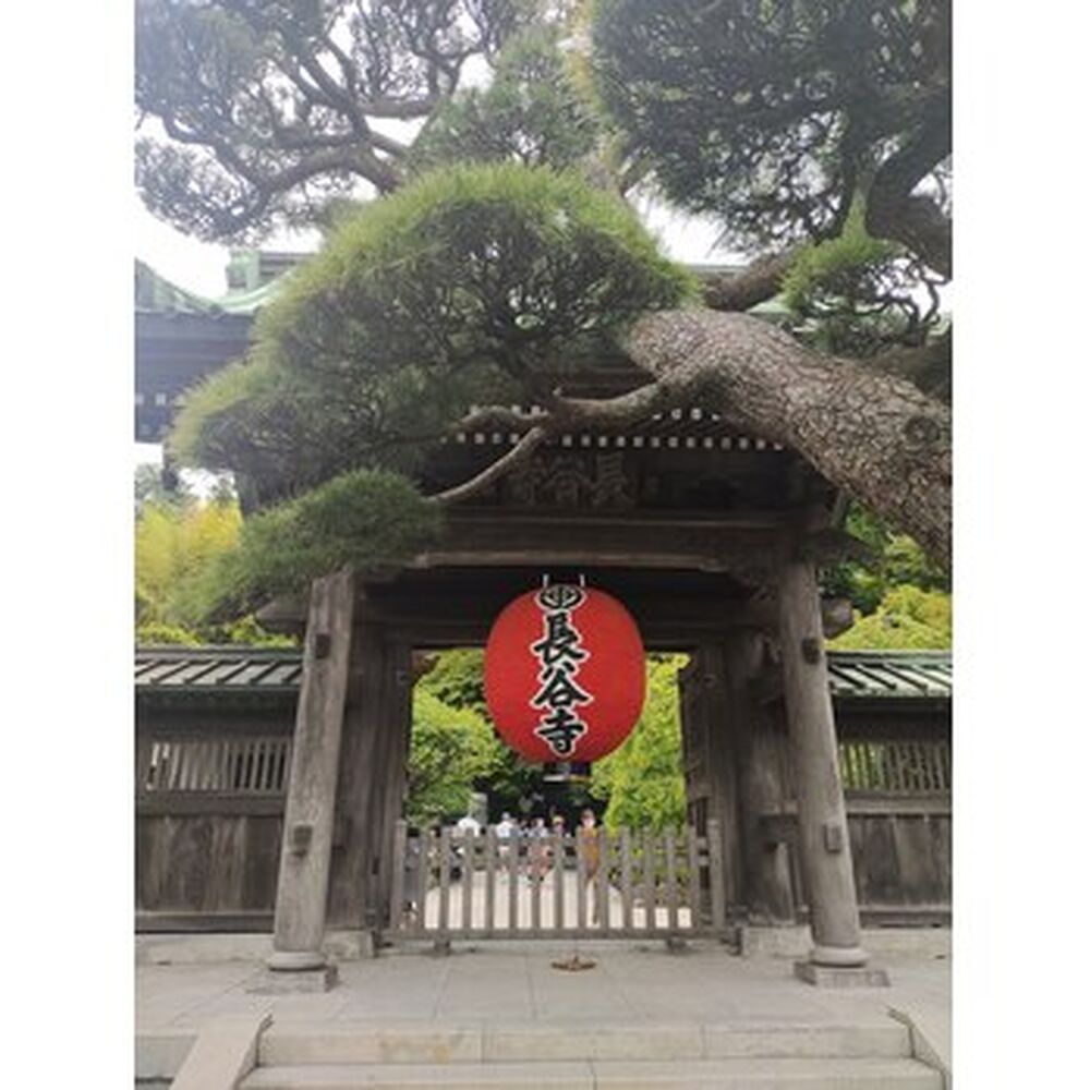 画像1768