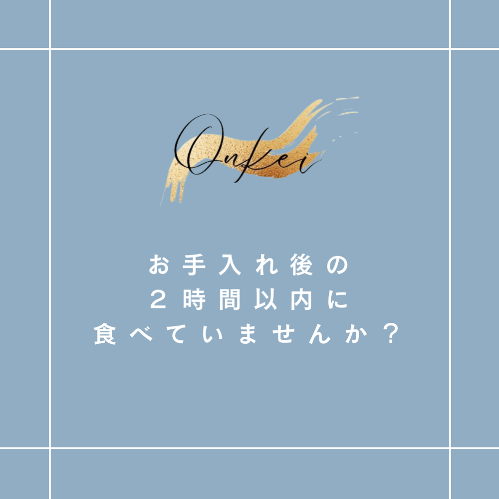 画像1786