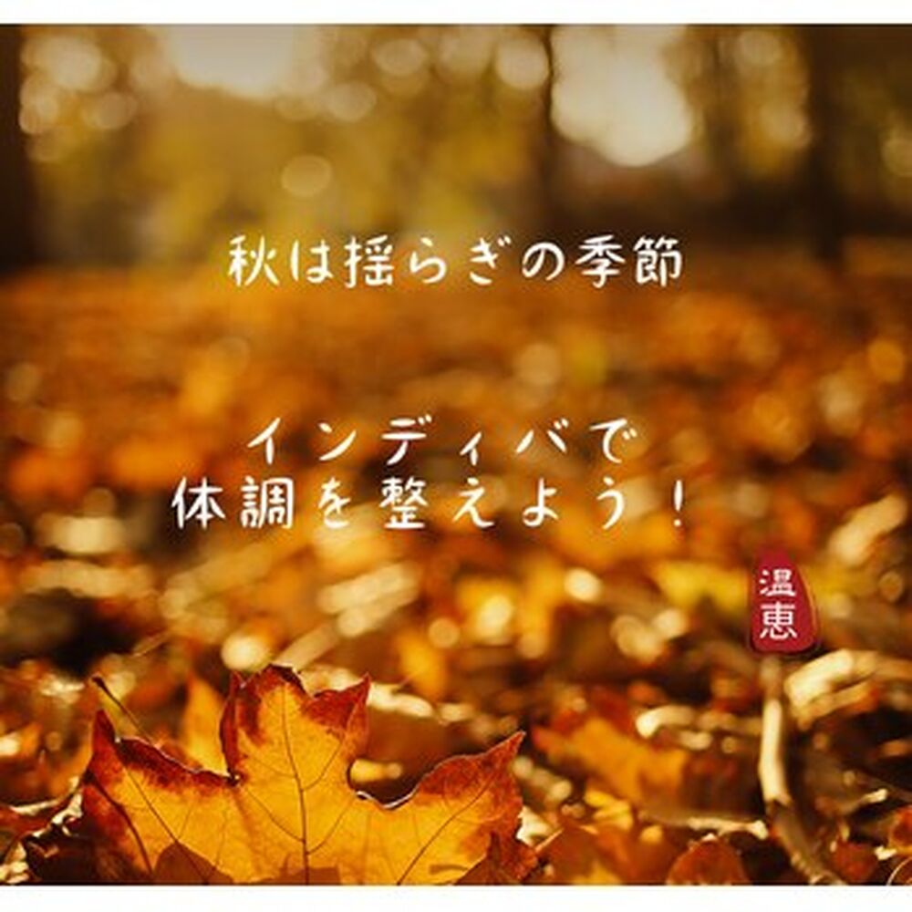 画像1981