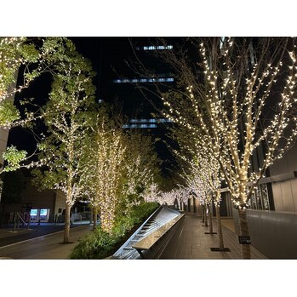 画像2055