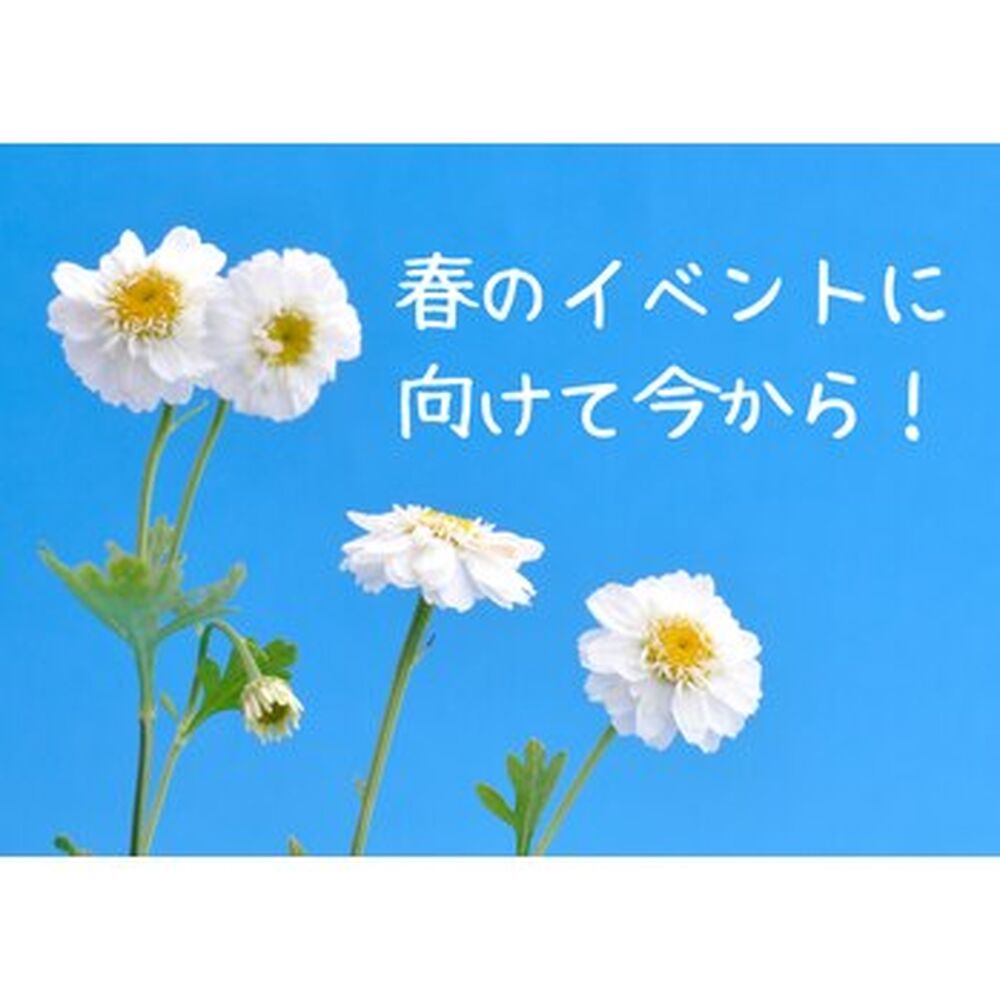 画像2210