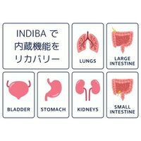 画像2246