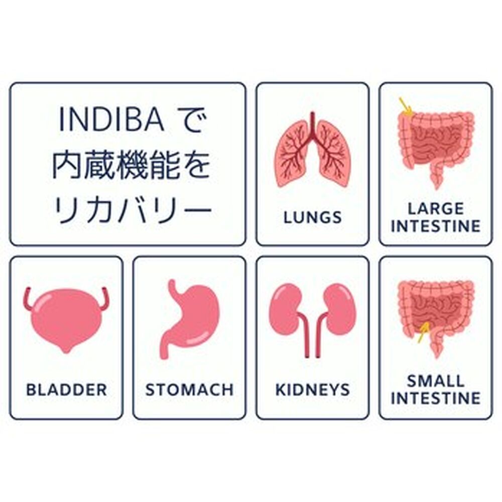 画像2246