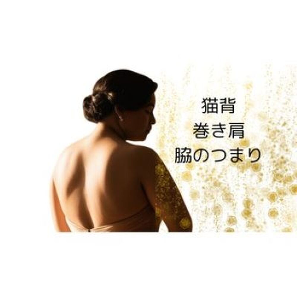 画像2694