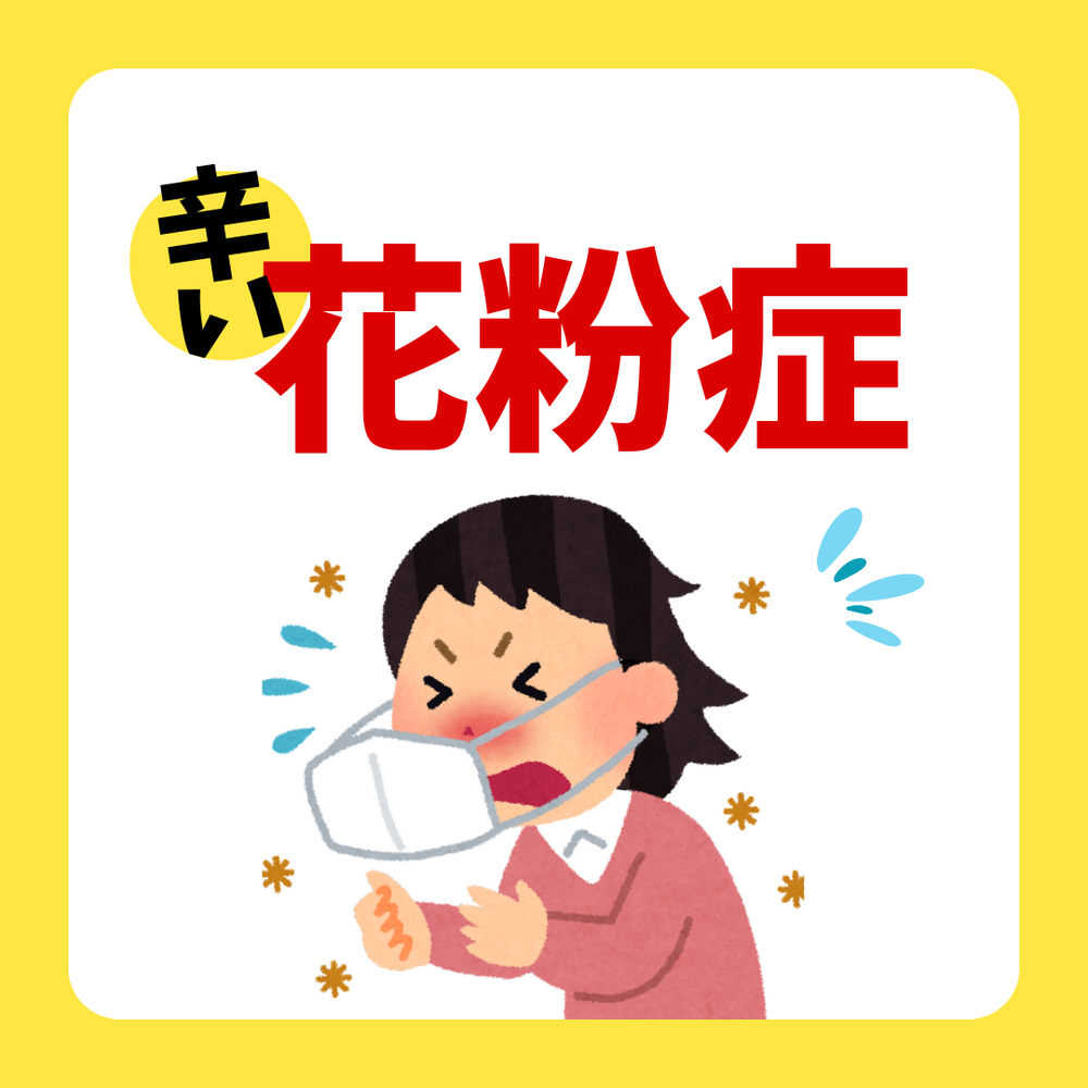 画像2768