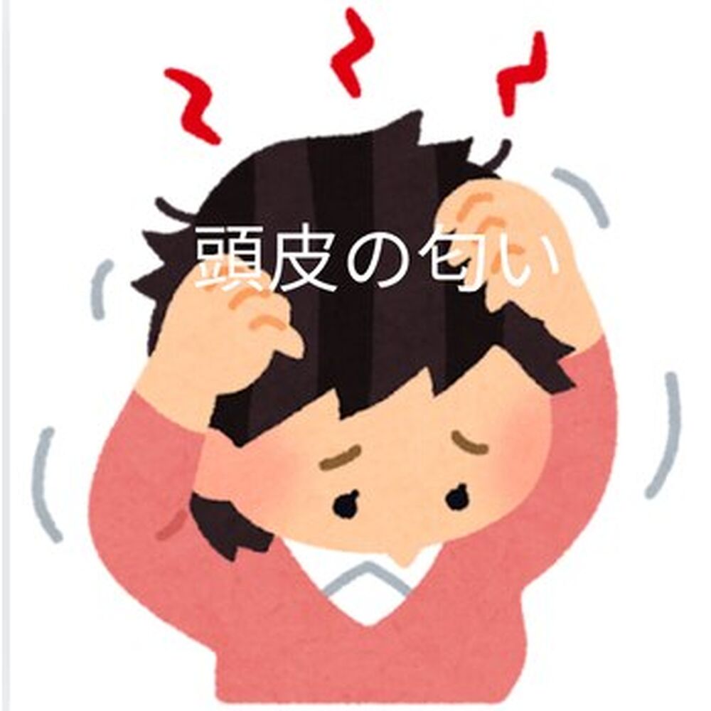 画像2774