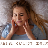画像2781