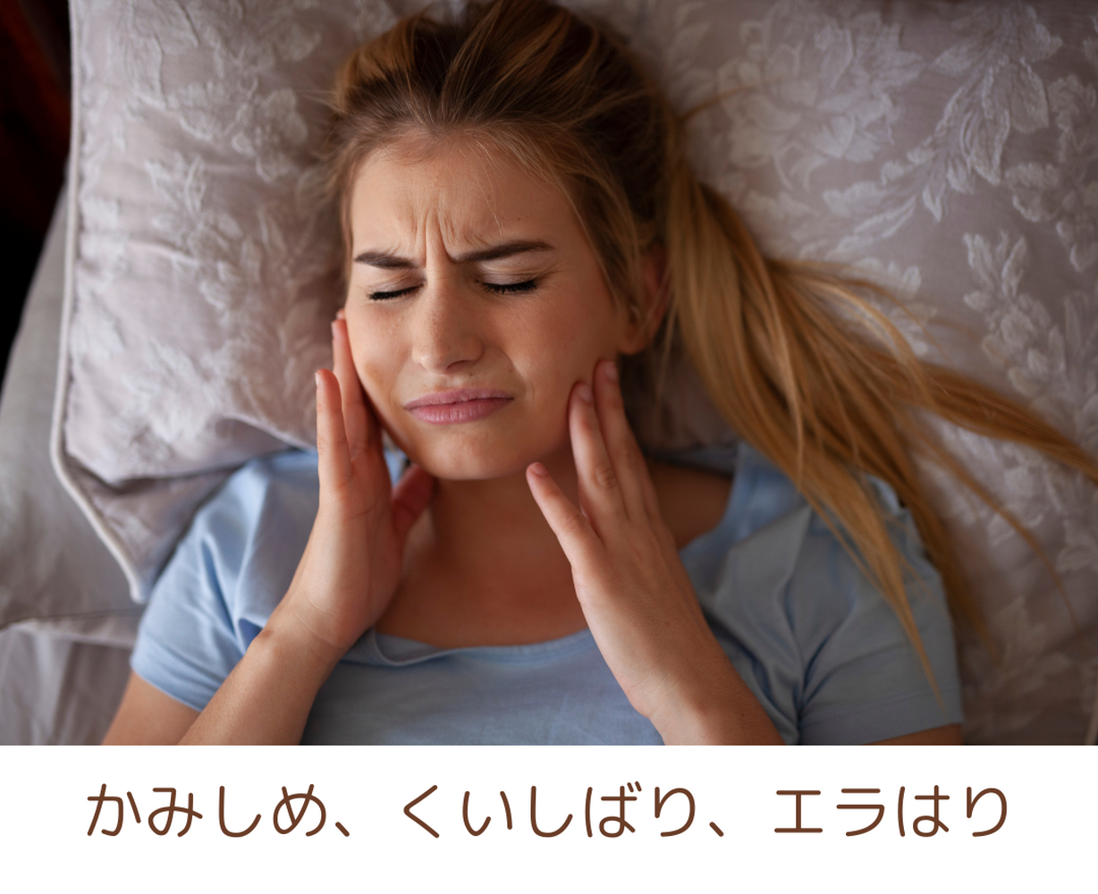 画像2781