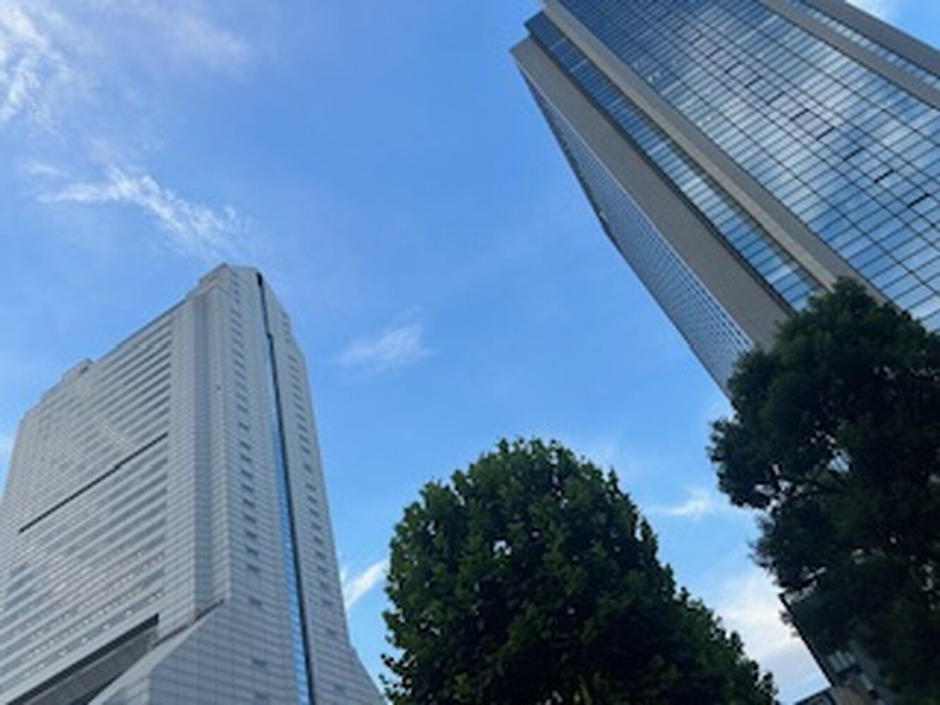 画像2914