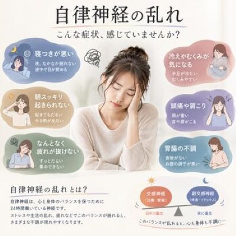 画像3086